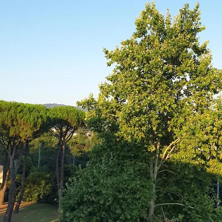 Appartamento Amaranto *