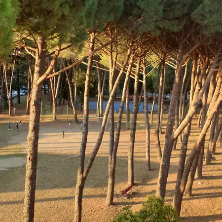 Appartamento Amaranto Arezzo